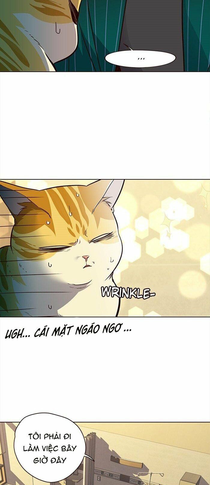 Hóa Thân Thành Mèo Chap 29 - Next Chap 30