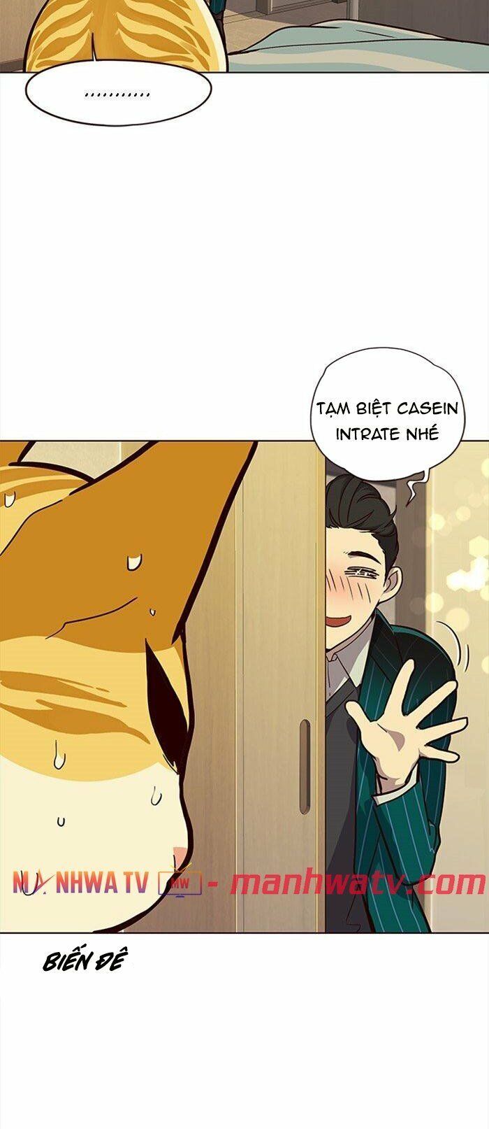 Hóa Thân Thành Mèo Chap 29 - Next Chap 30