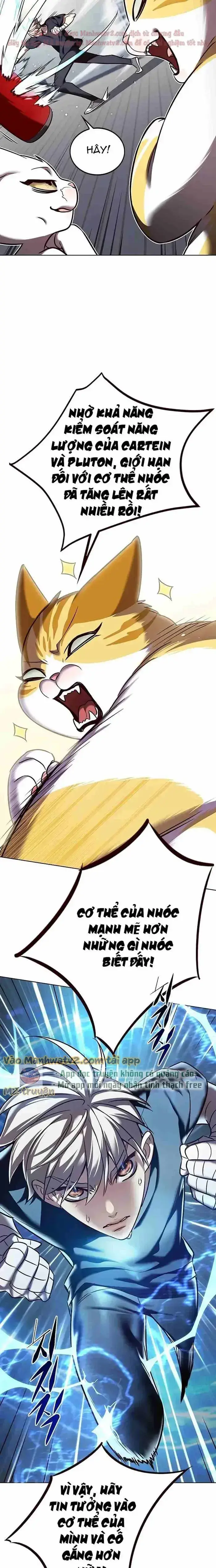 Hóa Thân Thành Mèo Chap 305 - Next Chap 306