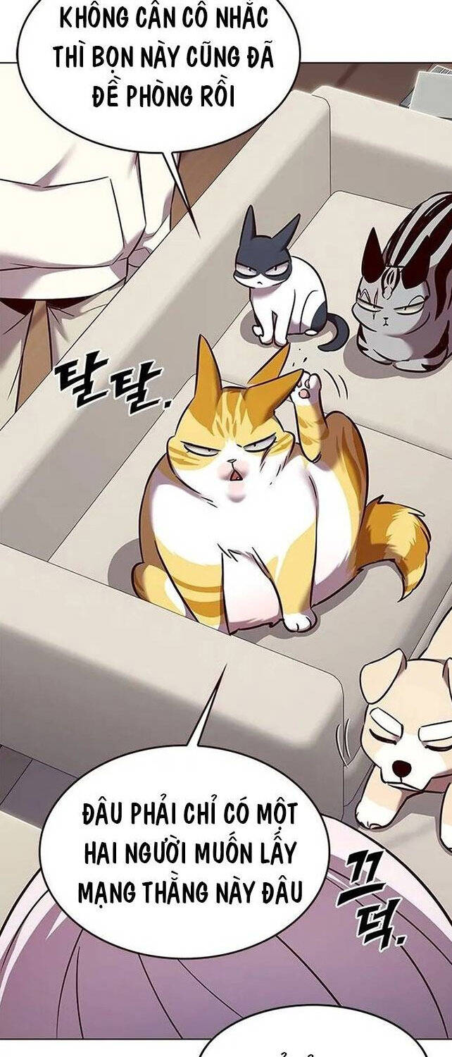 Hóa Thân Thành Mèo Chap 308 - Next Chap 309