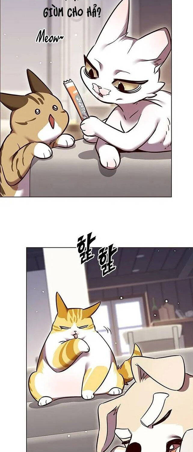 Hóa Thân Thành Mèo Chap 308 - Next Chap 309