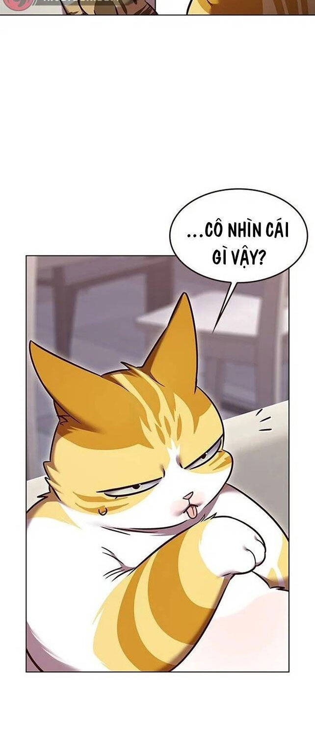 Hóa Thân Thành Mèo Chap 308 - Next Chap 309