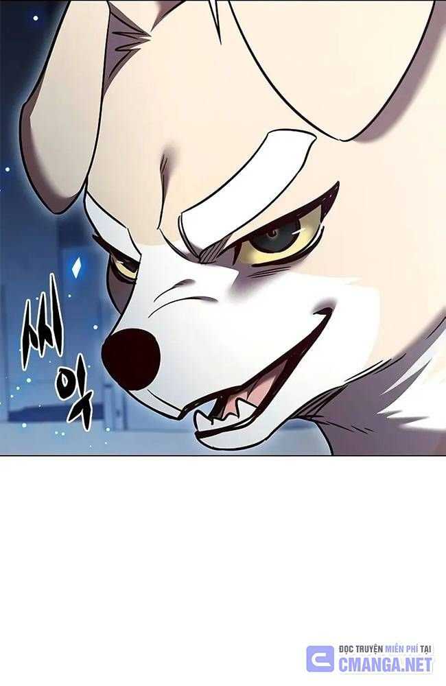 Hóa Thân Thành Mèo Chap 309 - Next Chap 310