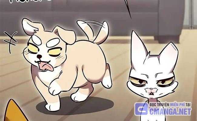 Hóa Thân Thành Mèo Chap 309 - Next Chap 310