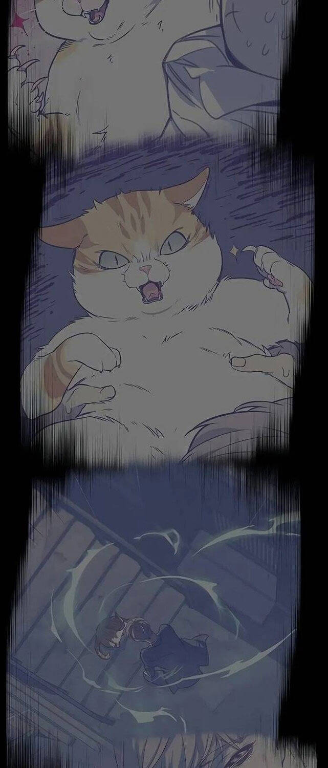 Hóa Thân Thành Mèo Chap 309 - Next Chap 310