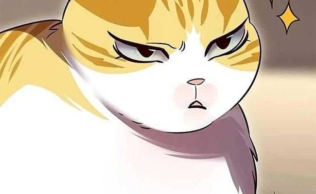 Hóa Thân Thành Mèo Chap 309 - Next Chap 310