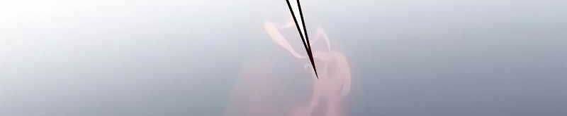 Hóa Thân Thành Mèo Chap 320 - Next Chap 321