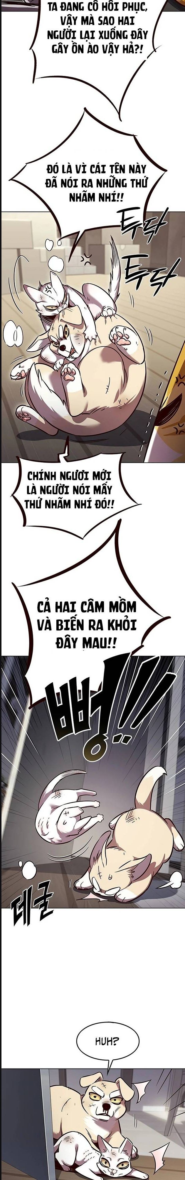 Hóa Thân Thành Mèo Chap 322 - Next Chap 323