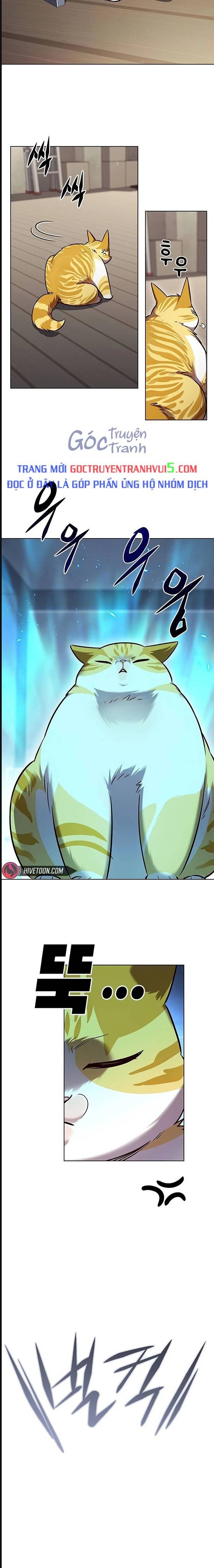 Hóa Thân Thành Mèo Chap 322 - Next Chap 323