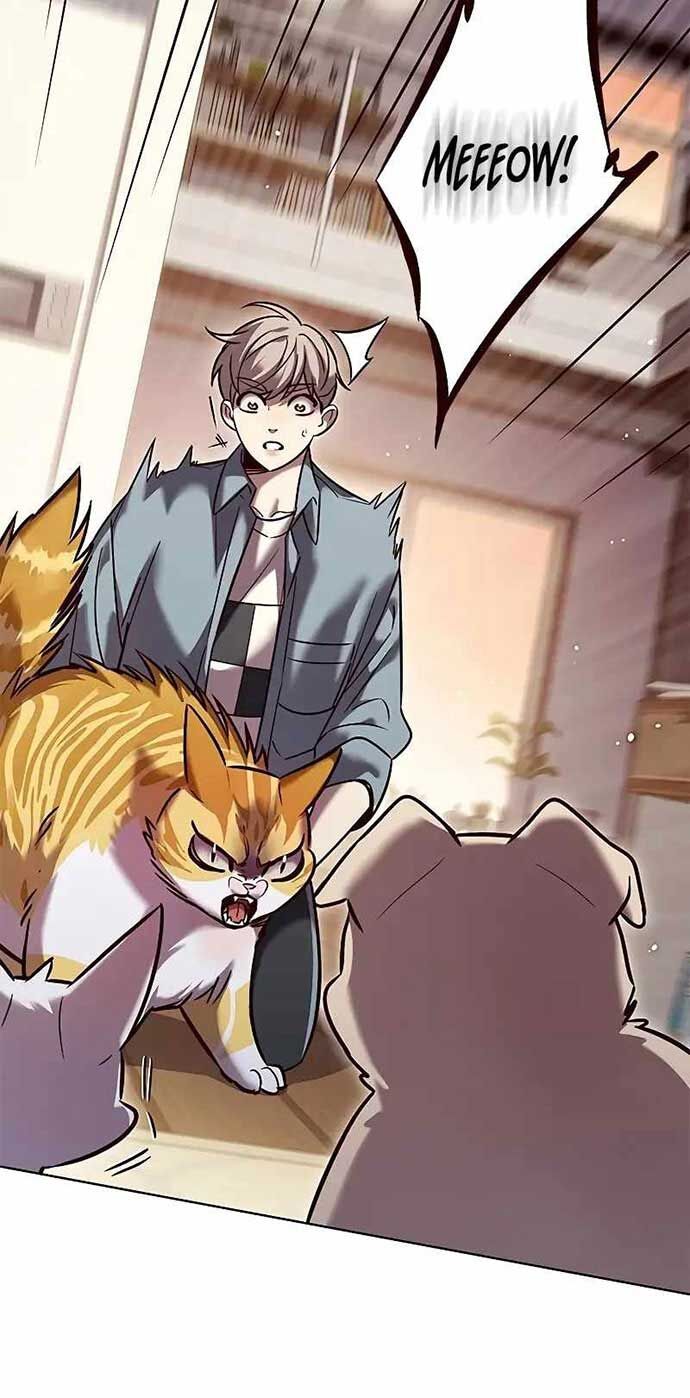 Hóa Thân Thành Mèo Chap 323 - Next Chap 324