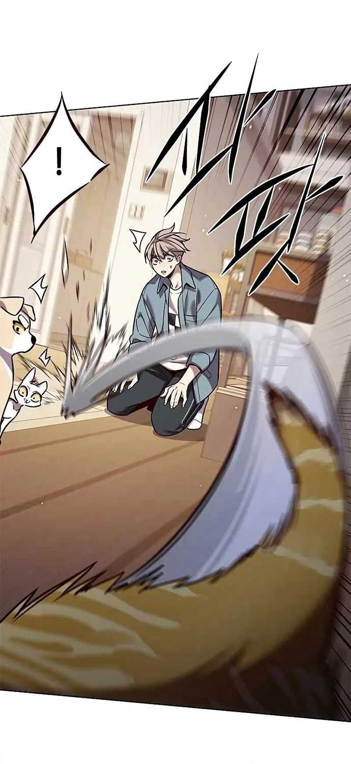 Hóa Thân Thành Mèo Chap 323 - Next Chap 324