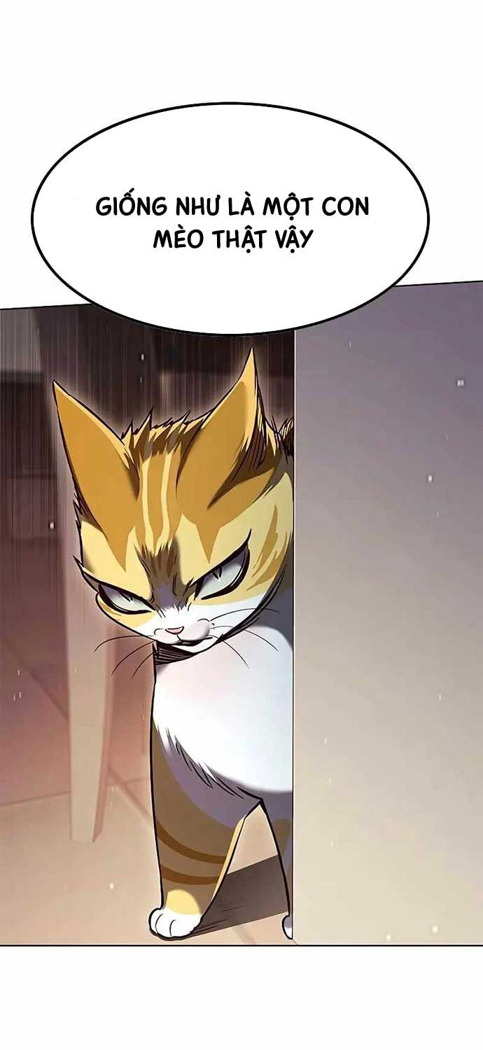 Hóa Thân Thành Mèo Chap 323 - Next Chap 324