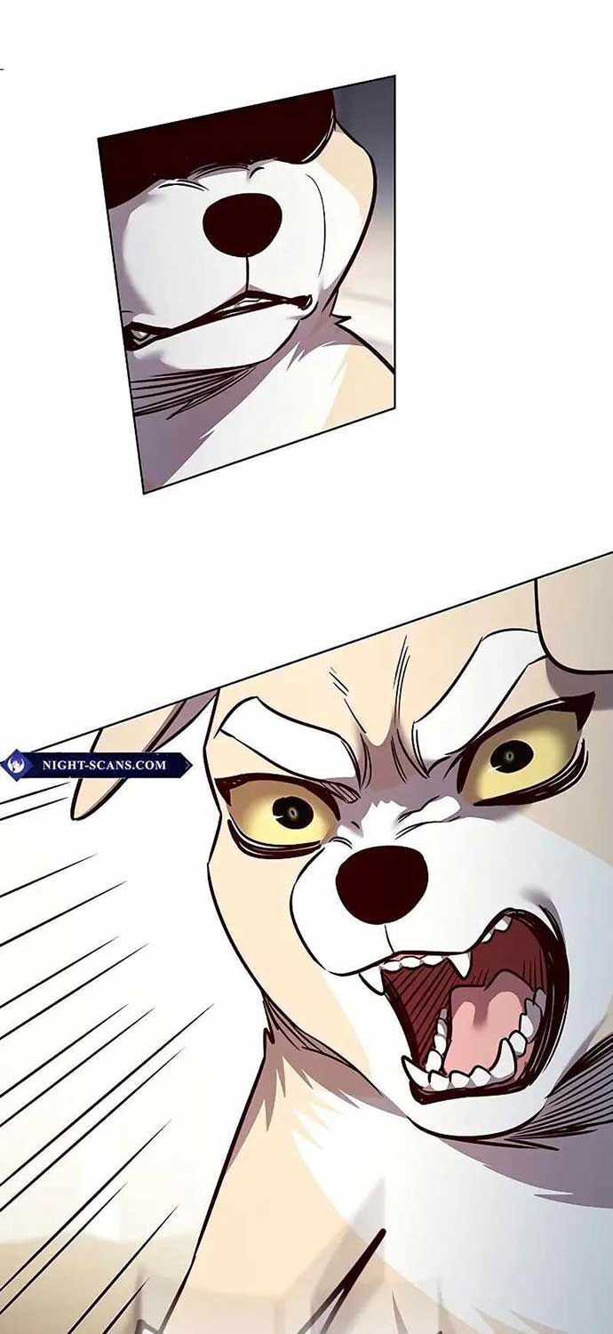 Hóa Thân Thành Mèo Chap 323 - Next Chap 324