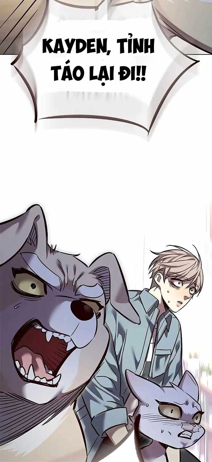 Hóa Thân Thành Mèo Chap 323 - Next Chap 324