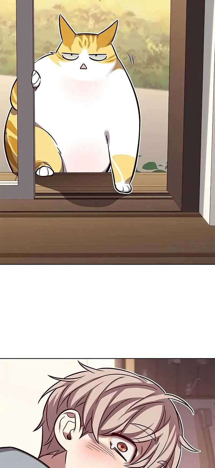 Hóa Thân Thành Mèo Chap 323 - Next Chap 324