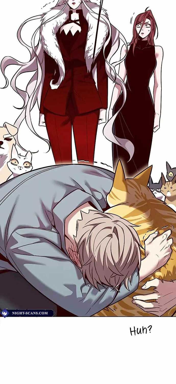 Hóa Thân Thành Mèo Chap 323 - Next Chap 324