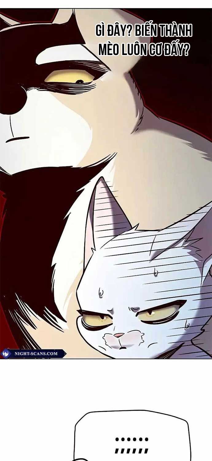 Hóa Thân Thành Mèo Chap 323 - Next Chap 324