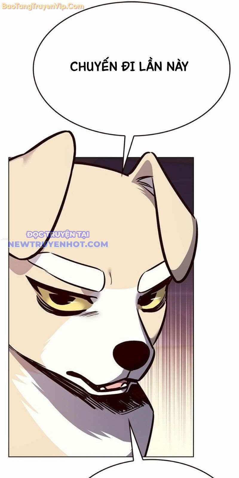 Hóa Thân Thành Mèo Chap 329 - Next Chap 330