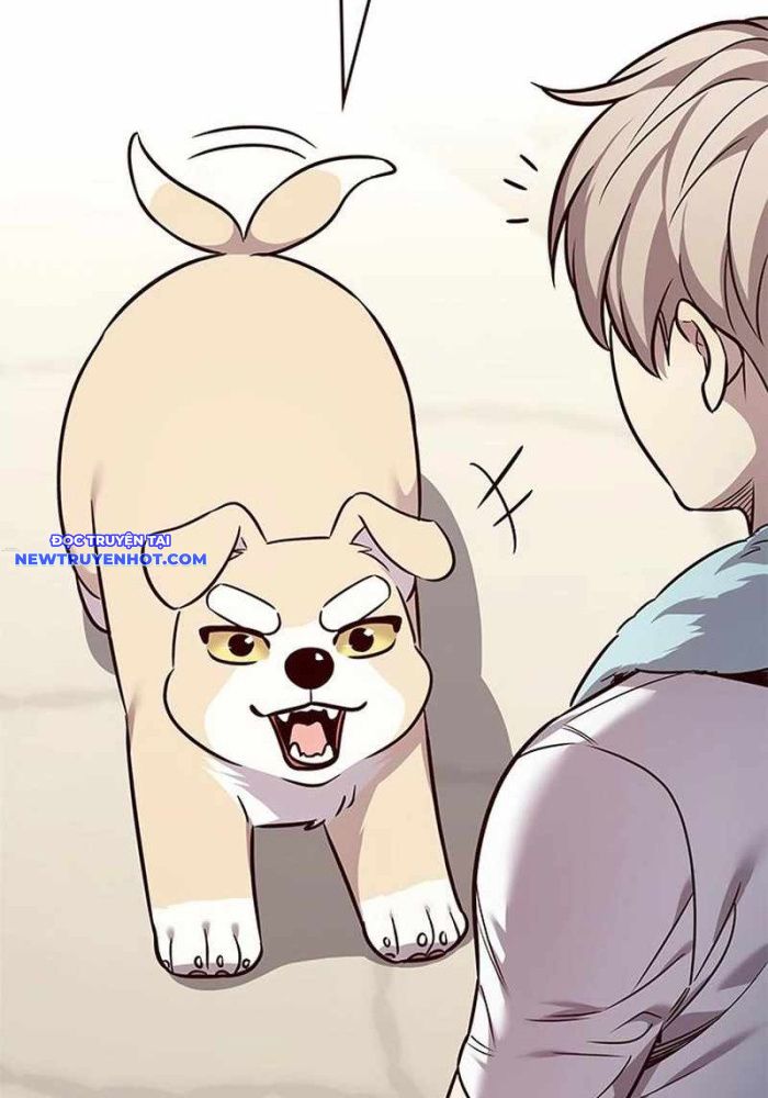 Hóa Thân Thành Mèo Chap 330 - Next Chap 331