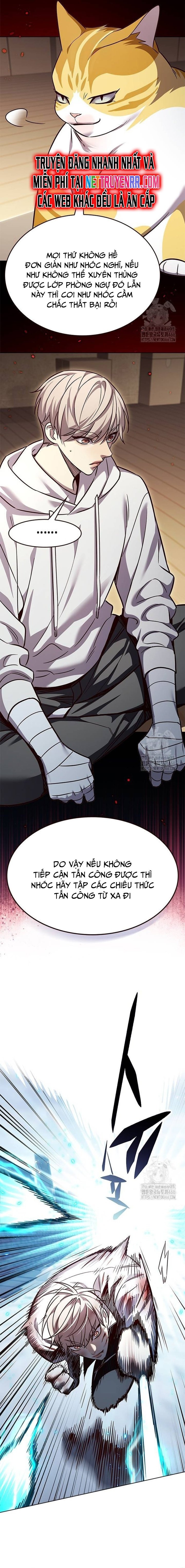 Hóa Thân Thành Mèo Chap 333 - Next Chap 334