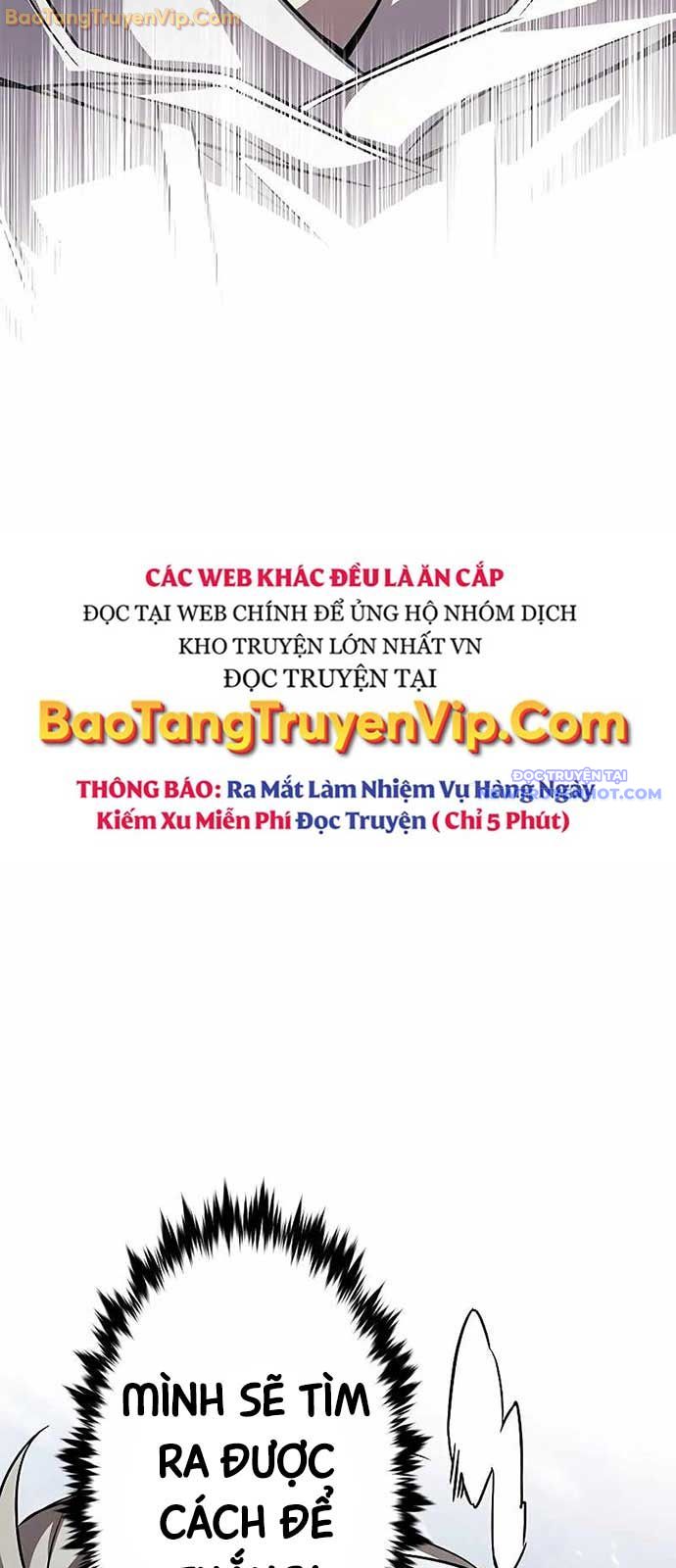 Hóa Thân Thành Mèo Chap 334 - Next Chap 335