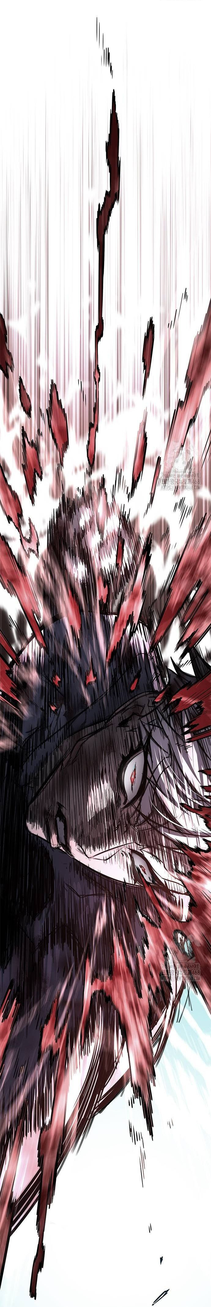 Hóa Thân Thành Mèo Chap 335 - Next Chap 336