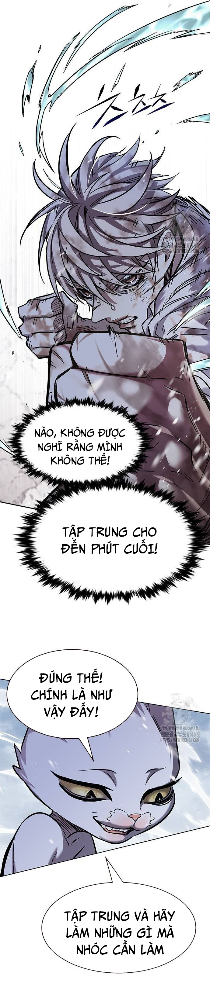 Hóa Thân Thành Mèo Chap 335 - Next Chap 336