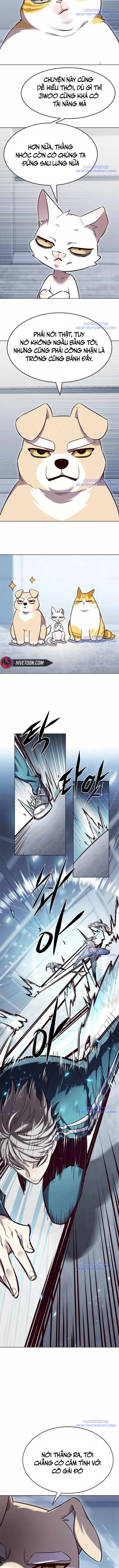 Hóa Thân Thành Mèo Chap 343 - Next Chap 344