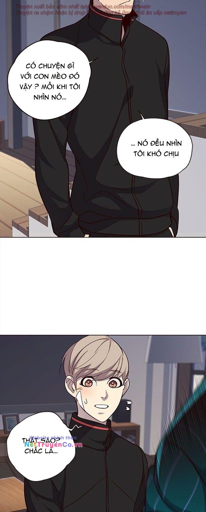 Hóa Thân Thành Mèo Chap 35 - Next Chap 36