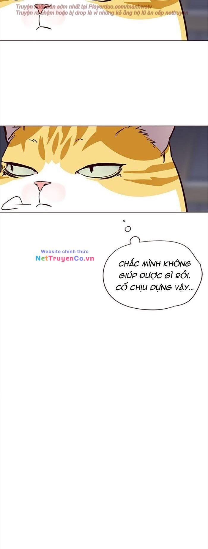 Hóa Thân Thành Mèo Chap 35 - Next Chap 36