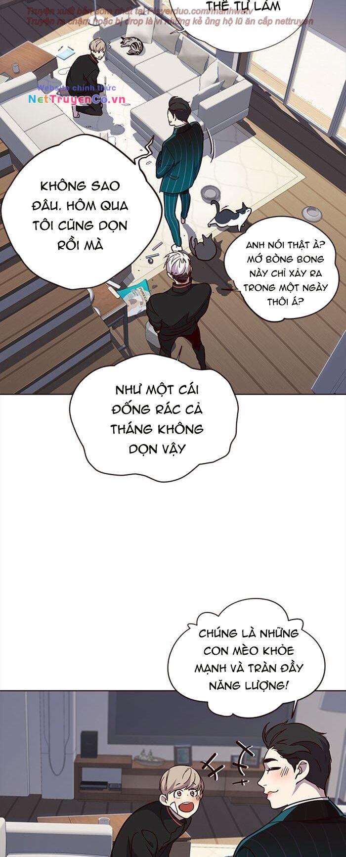 Hóa Thân Thành Mèo Chap 35 - Next Chap 36