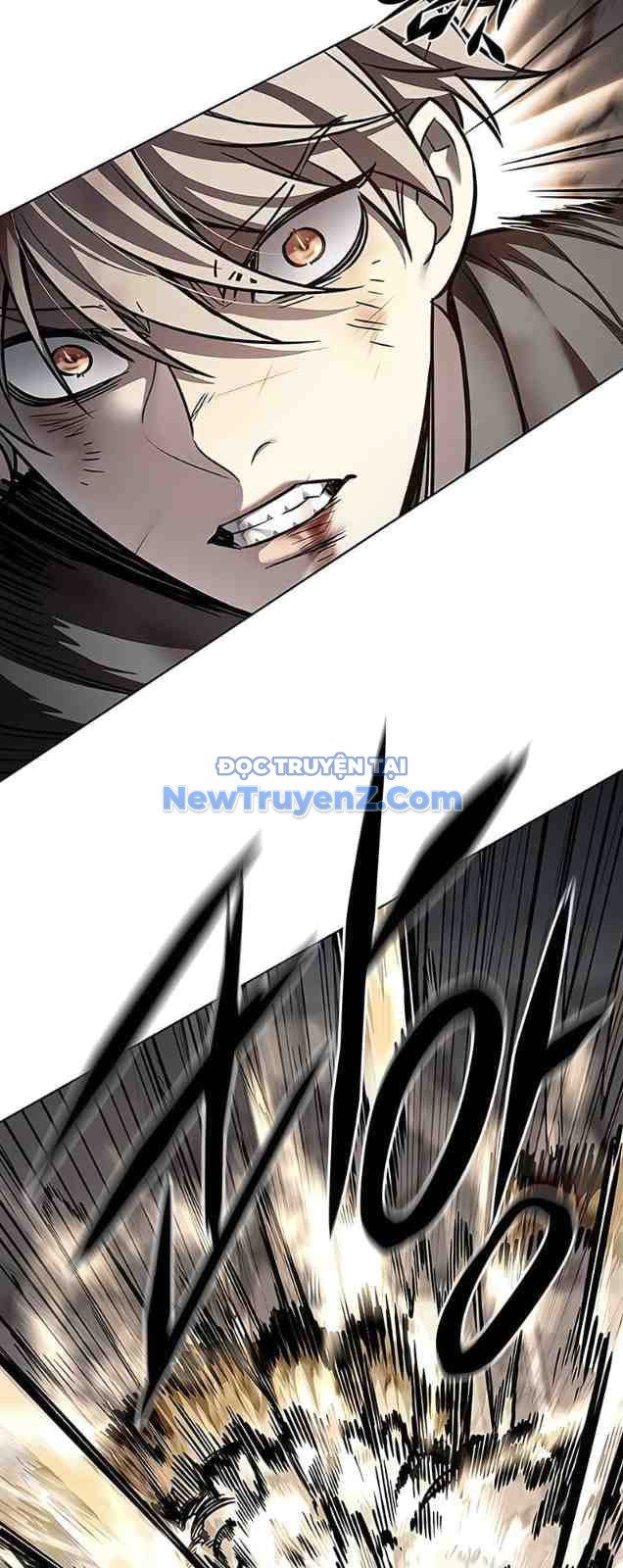 Hóa Thân Thành Mèo Chap 352 - Next Chap 353