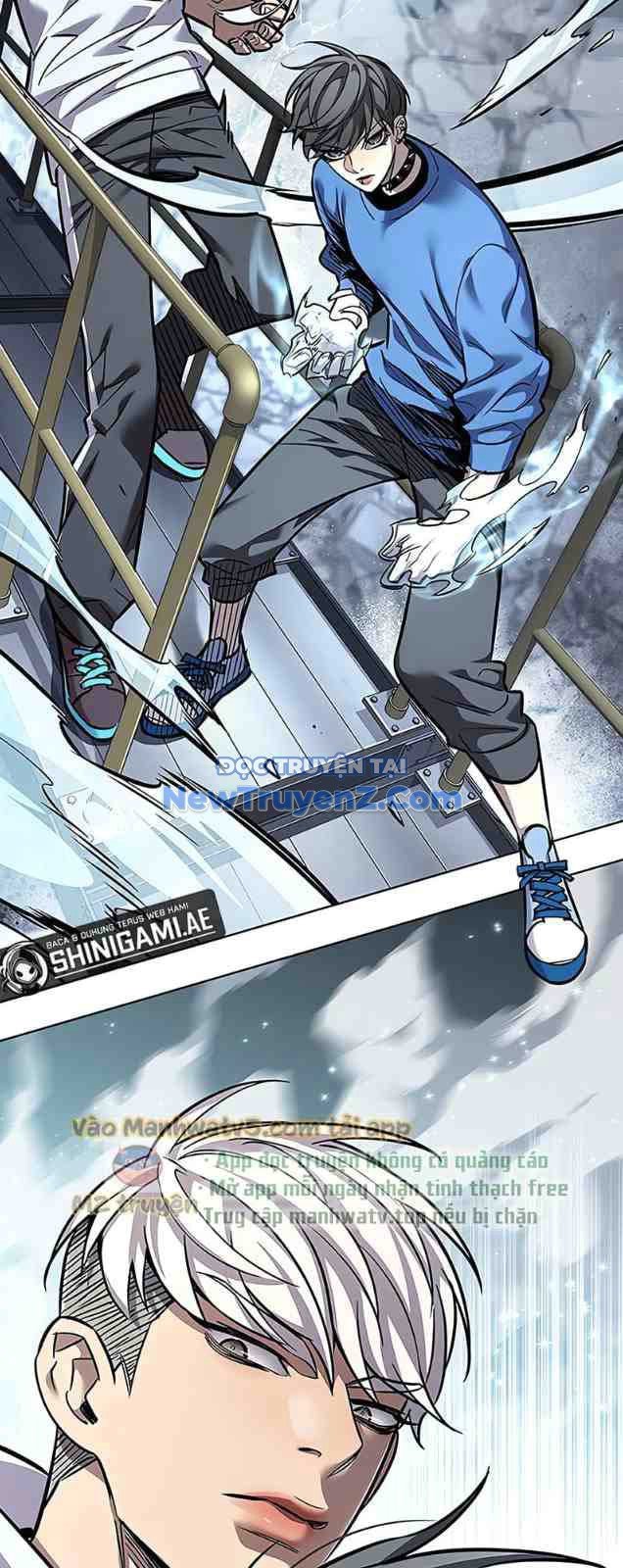 Hóa Thân Thành Mèo Chap 352 - Next Chap 353