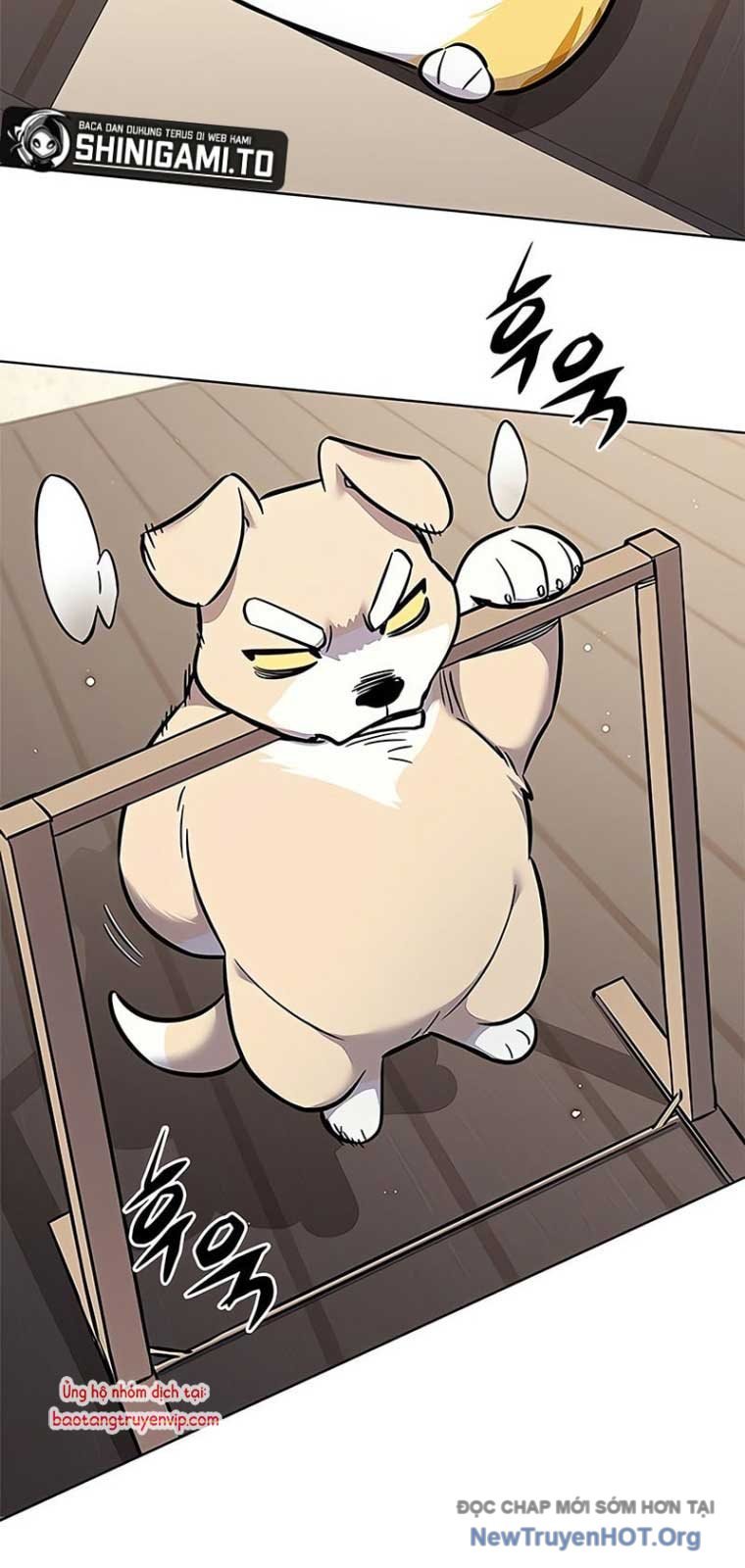 Hóa Thân Thành Mèo Chap 355 - Next Chap 356