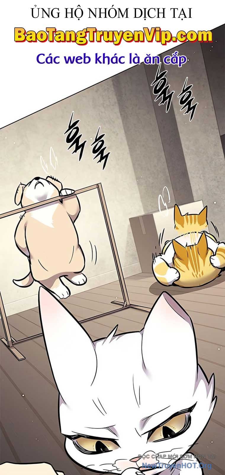 Hóa Thân Thành Mèo Chap 355 - Next Chap 356