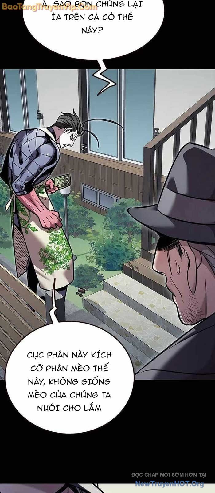 Hóa Thân Thành Mèo Chap 356 - Next Chap 357