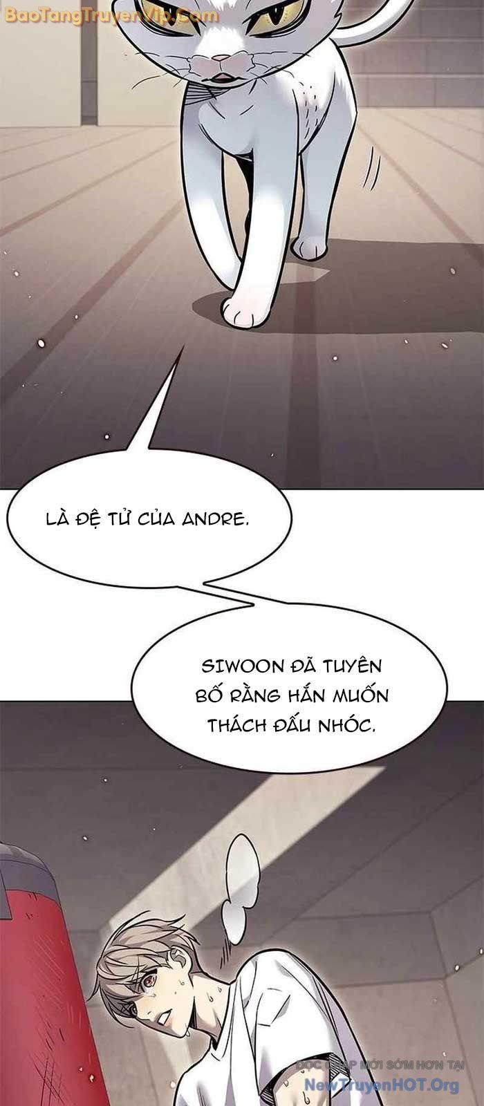Hóa Thân Thành Mèo Chap 356 - Next Chap 357
