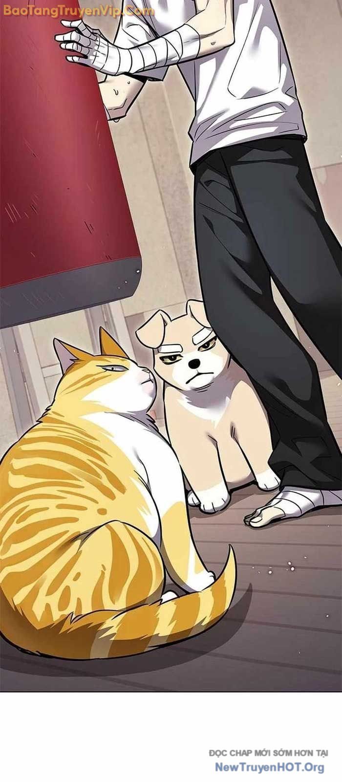 Hóa Thân Thành Mèo Chap 356 - Next Chap 357