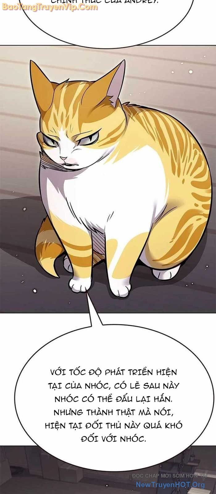 Hóa Thân Thành Mèo Chap 356 - Next Chap 357