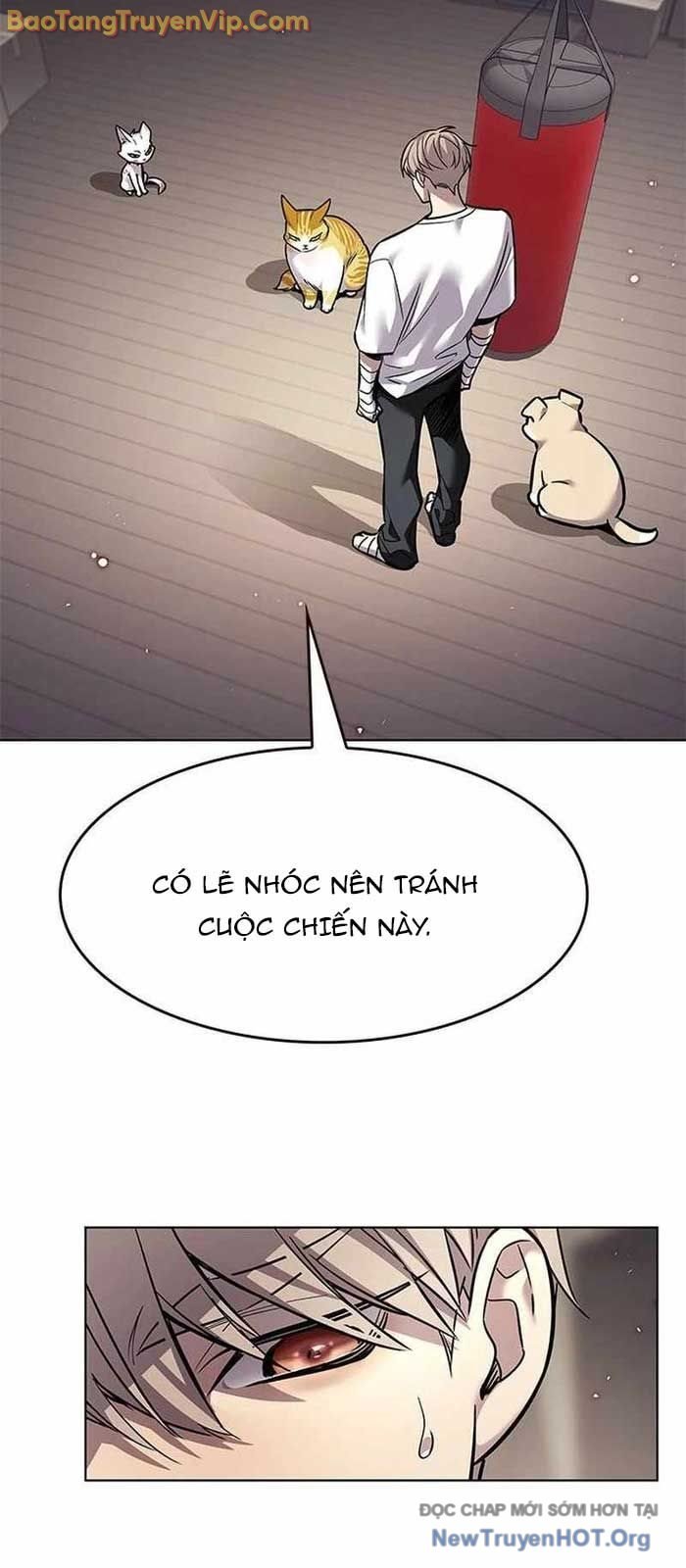 Hóa Thân Thành Mèo Chap 356 - Next Chap 357