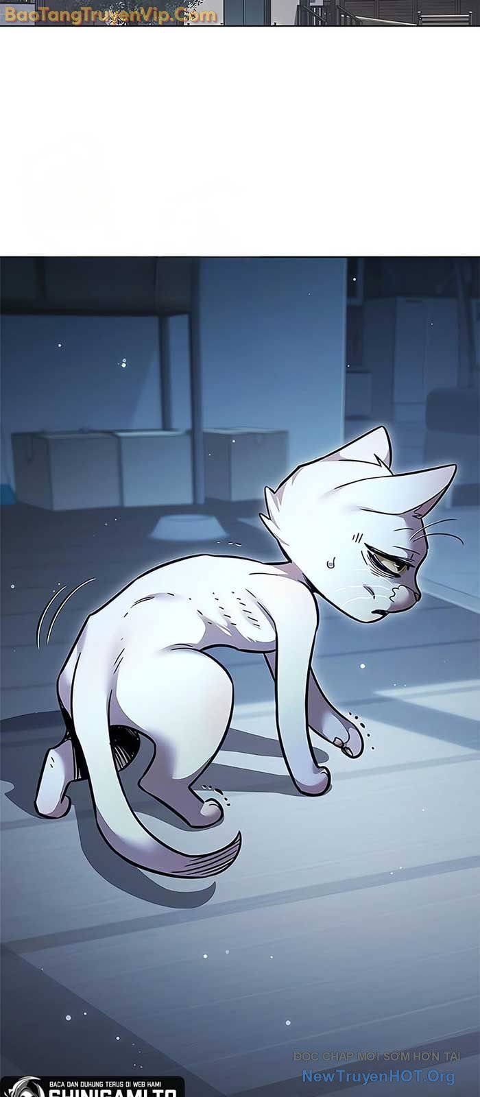 Hóa Thân Thành Mèo Chap 358 - Next Chap 359