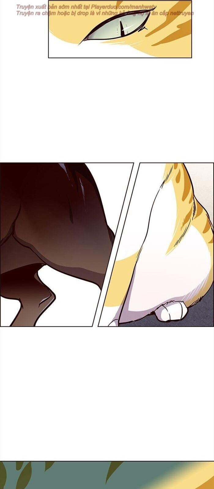 Hóa Thân Thành Mèo Chap 36 - Next Chap 37