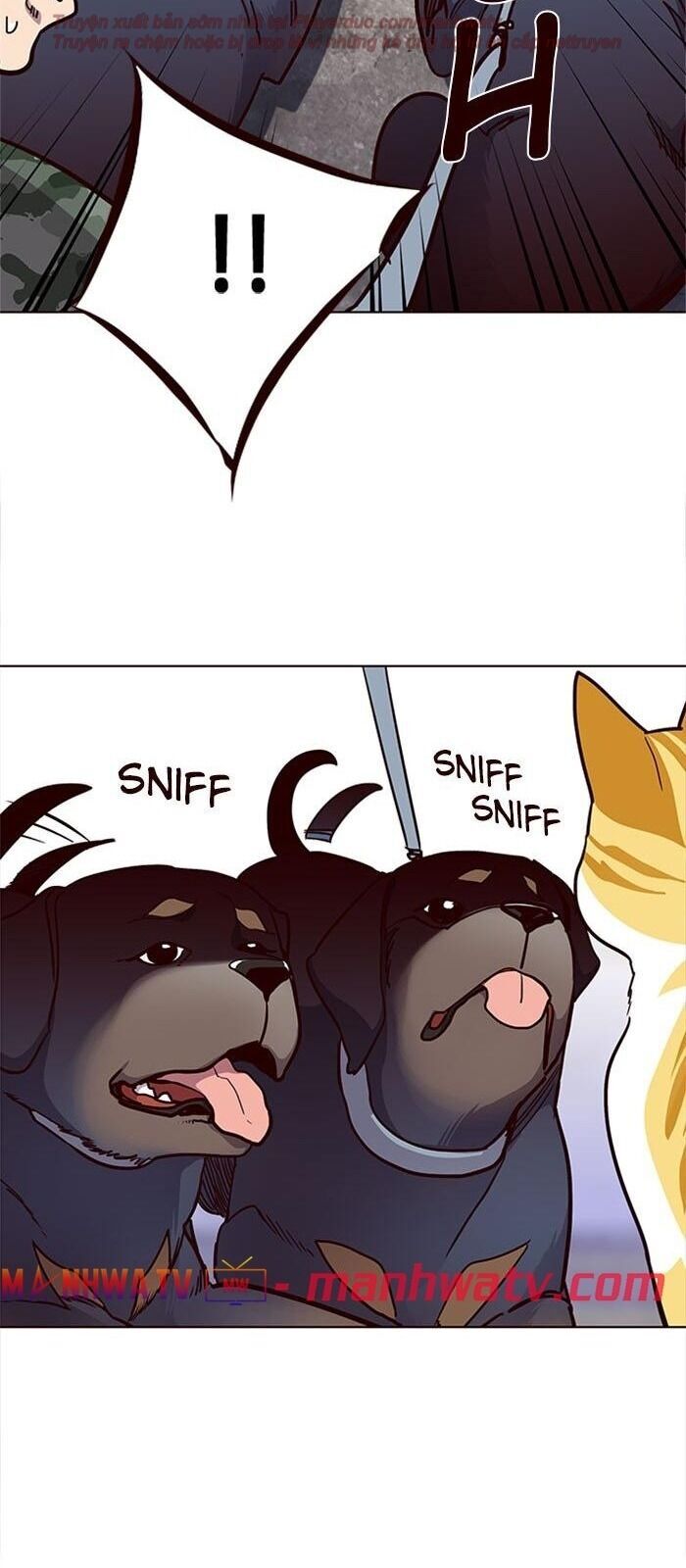 Hóa Thân Thành Mèo Chap 36 - Next Chap 37