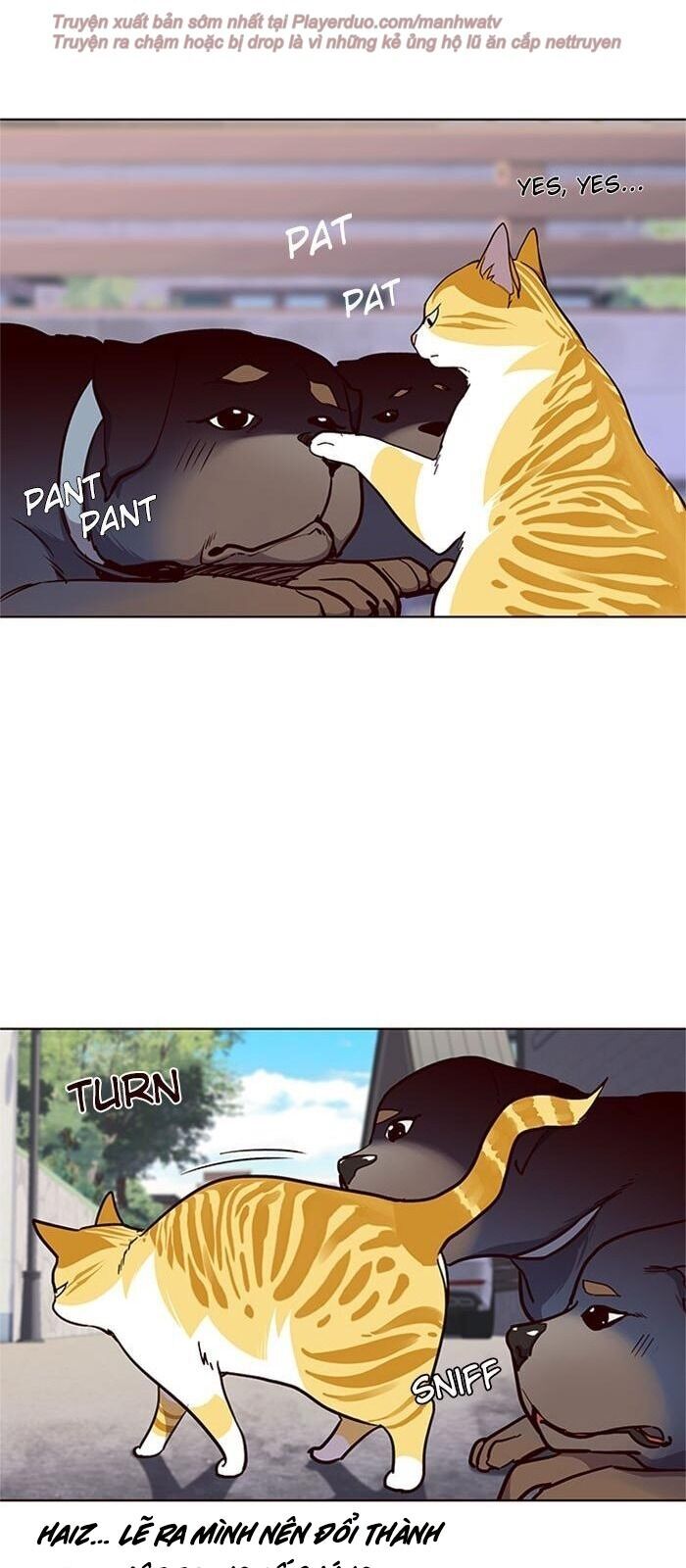 Hóa Thân Thành Mèo Chap 36 - Next Chap 37