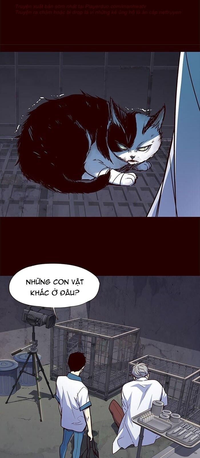 Hóa Thân Thành Mèo Chap 36 - Next Chap 37