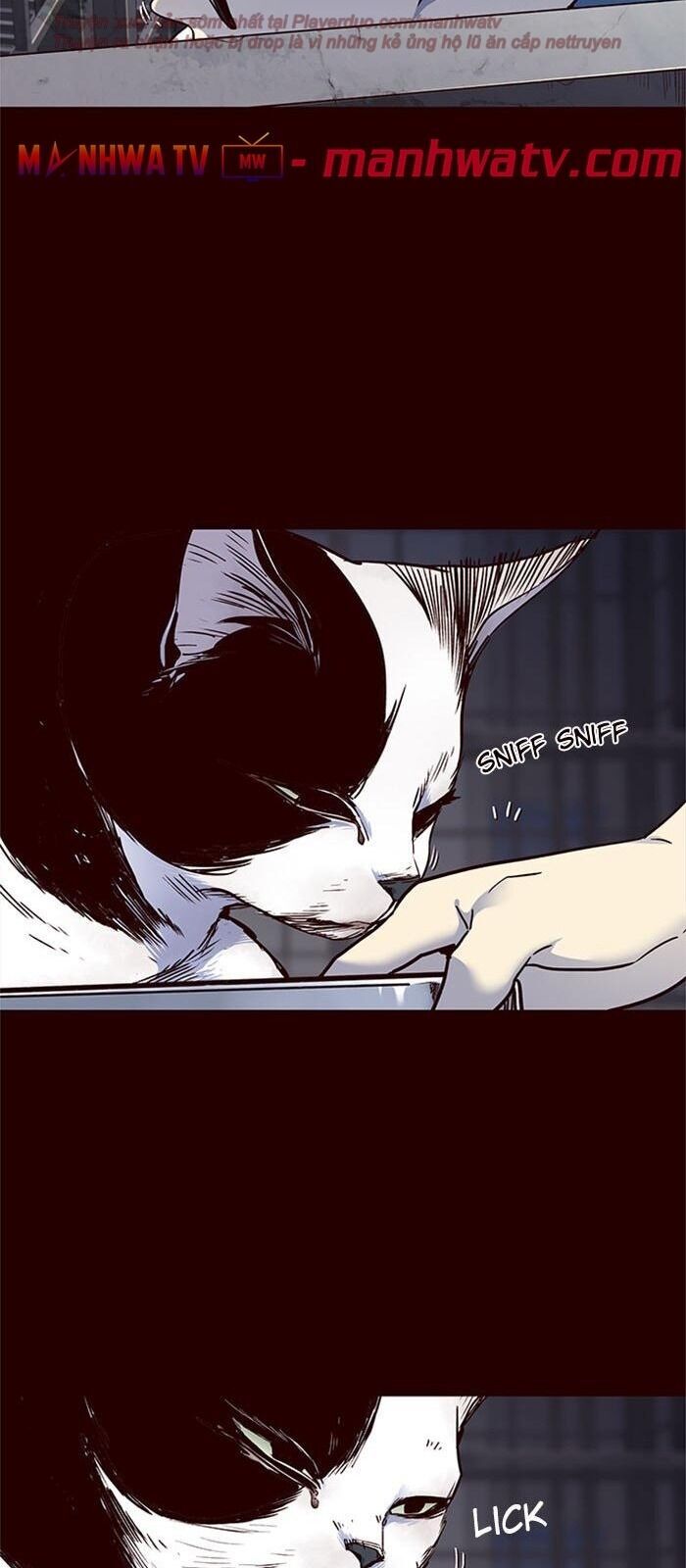 Hóa Thân Thành Mèo Chap 36 - Next Chap 37