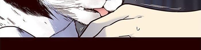 Hóa Thân Thành Mèo Chap 36 - Next Chap 37