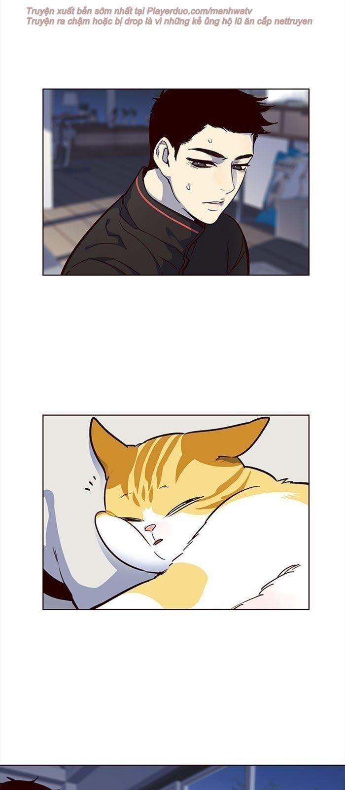 Hóa Thân Thành Mèo Chap 36 - Next Chap 37