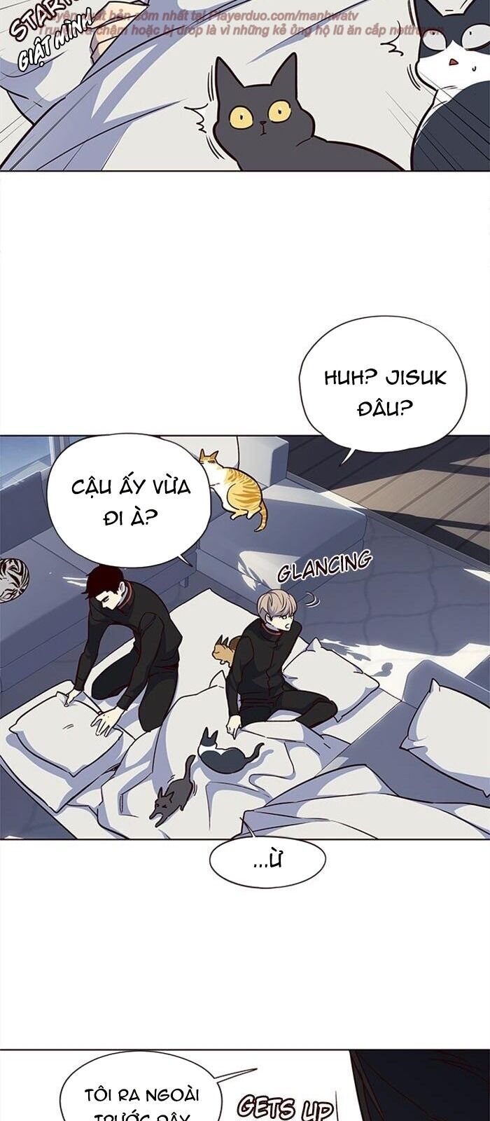 Hóa Thân Thành Mèo Chap 36 - Next Chap 37