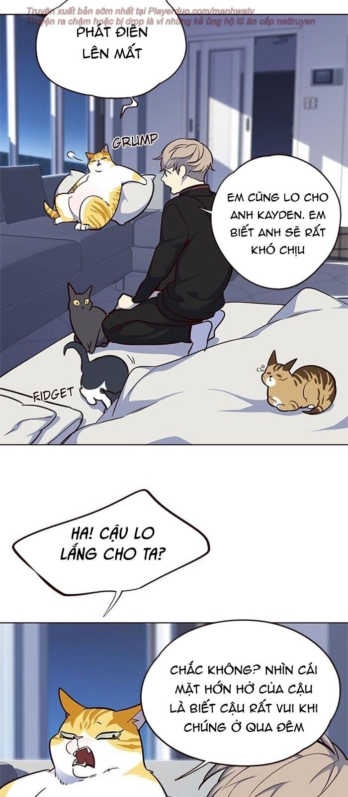 Hóa Thân Thành Mèo Chap 36 - Next Chap 37